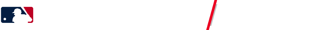 Summer League Portal